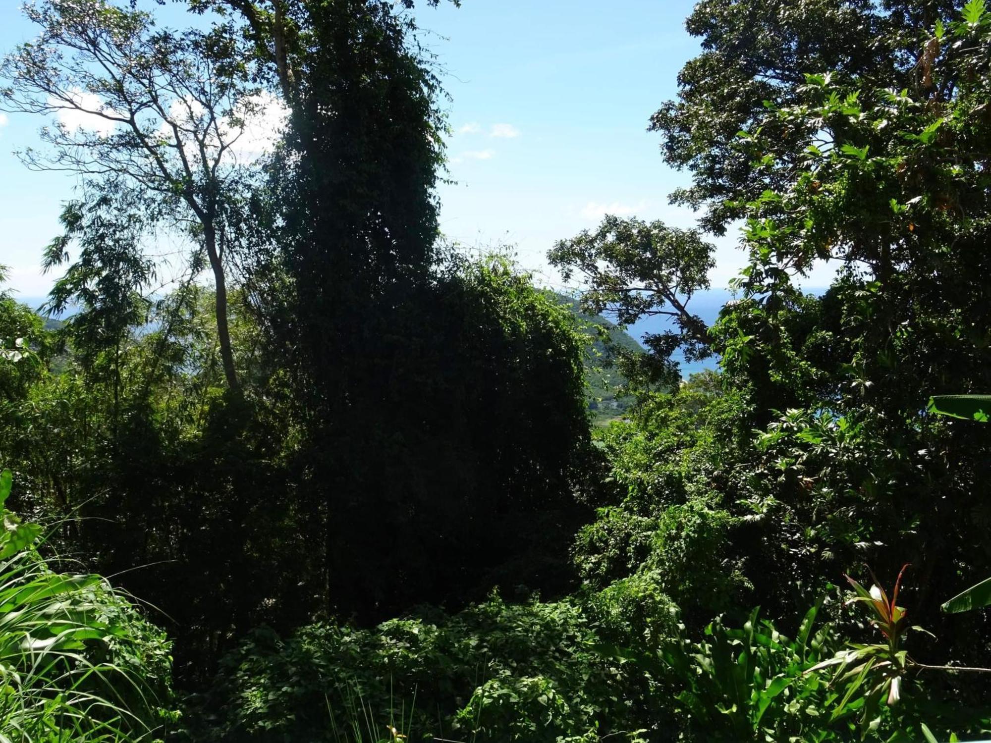 Bungalow Dourou Deshaies Buitenkant foto